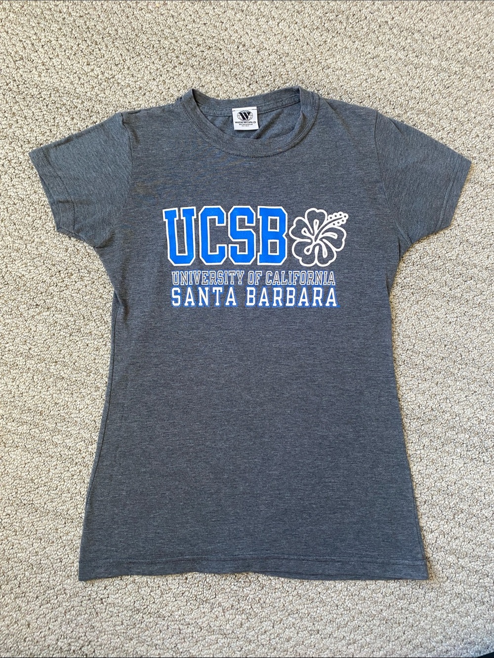 UCSB Graphic tee in Gray